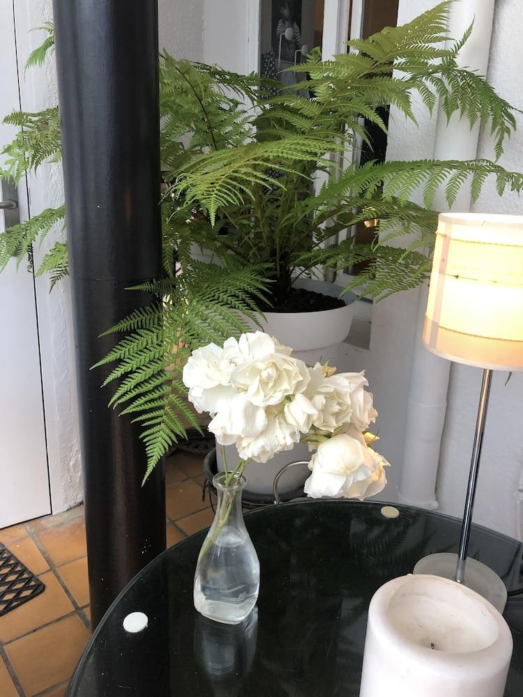 Hotel Moderna 셰르부르 앙 코탱탕 외부 사진